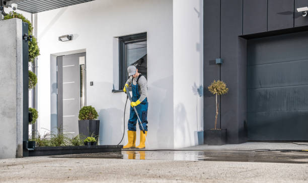 Best Roof Washing  in Balm, FL